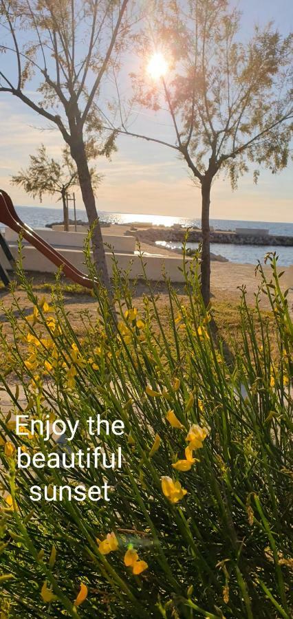 Apartments Sunny Estate Zaton  Ngoại thất bức ảnh