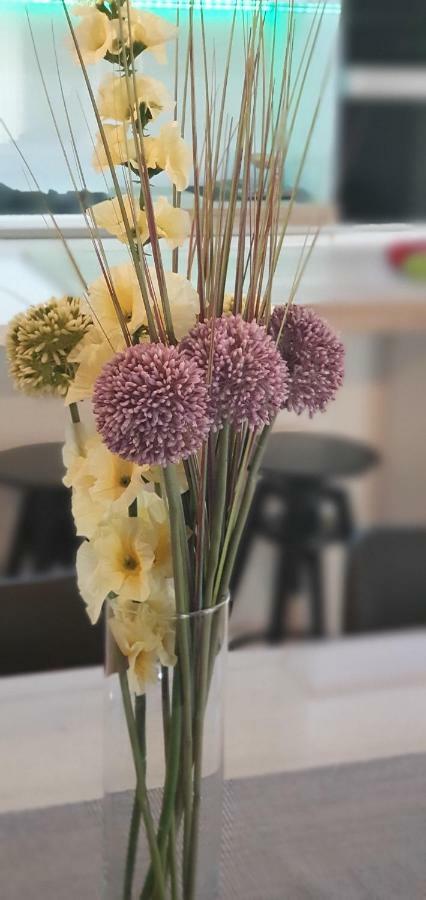 Apartments Sunny Estate Zaton  Ngoại thất bức ảnh