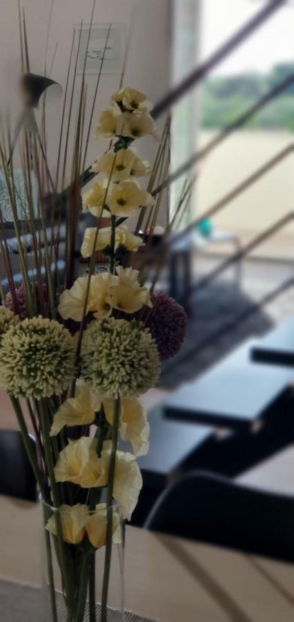 Apartments Sunny Estate Zaton  Ngoại thất bức ảnh